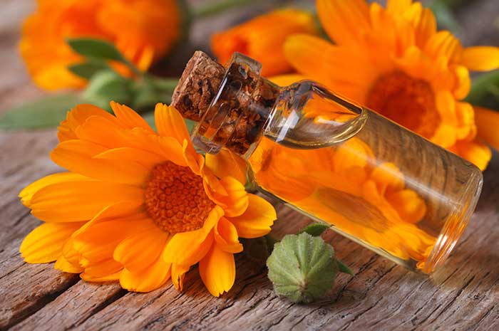 beneficios aceite esencial calendula