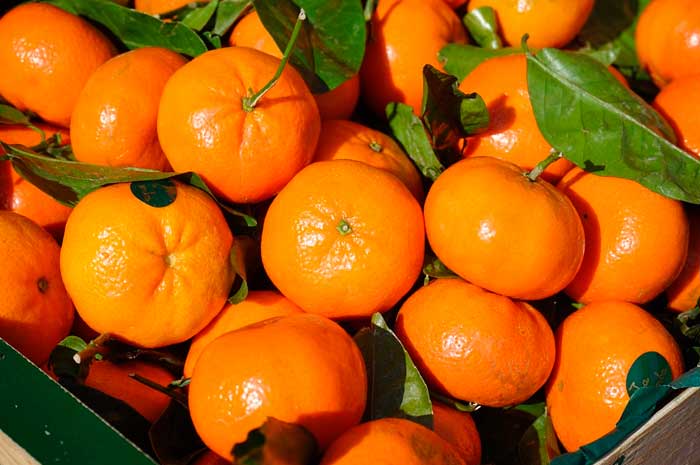 aceite esencial mandarina propiedades