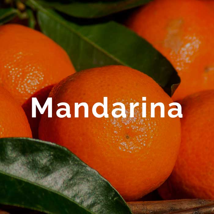 propiedades beneficios aceite esencial mandarina